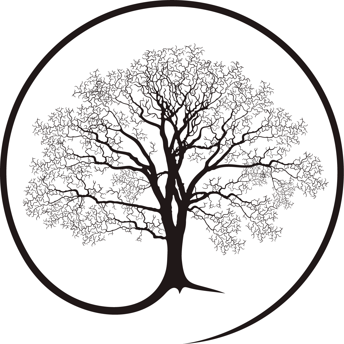 Celina Family Dentistry
